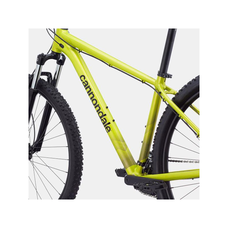 cannondale trail 8